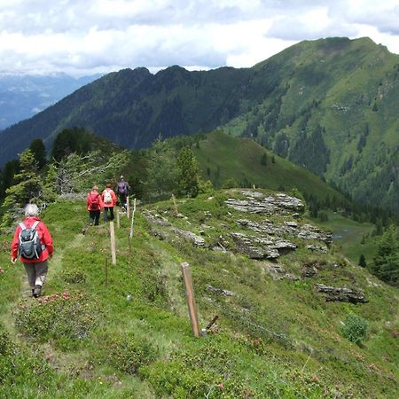 Gasthof Zur Gams Donnersbachwald Zewnętrze zdjęcie