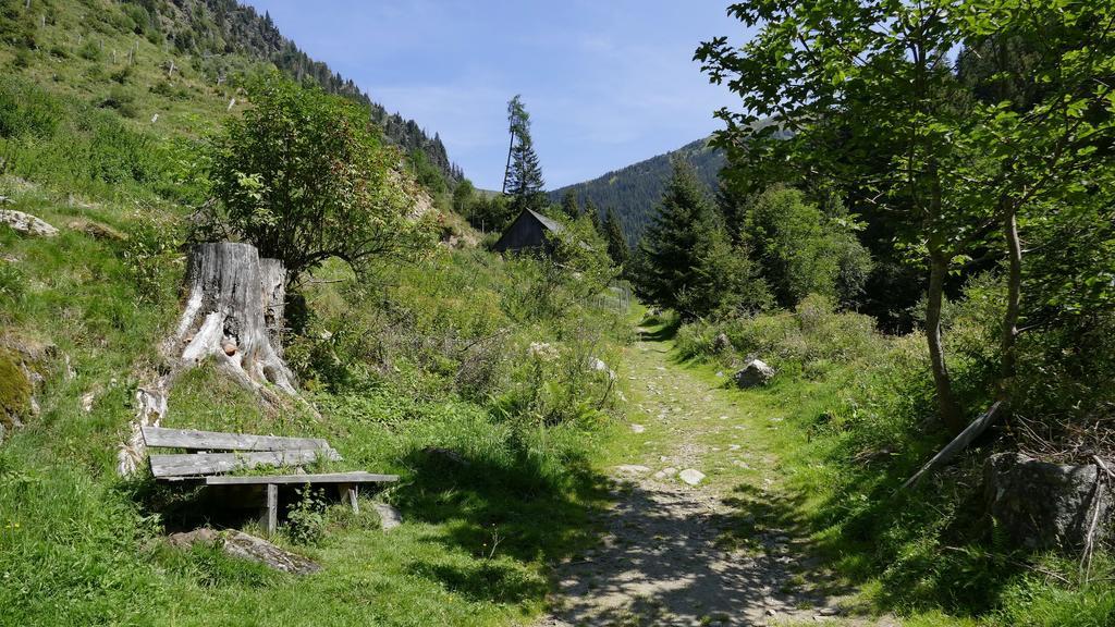 Gasthof Zur Gams Donnersbachwald Zewnętrze zdjęcie