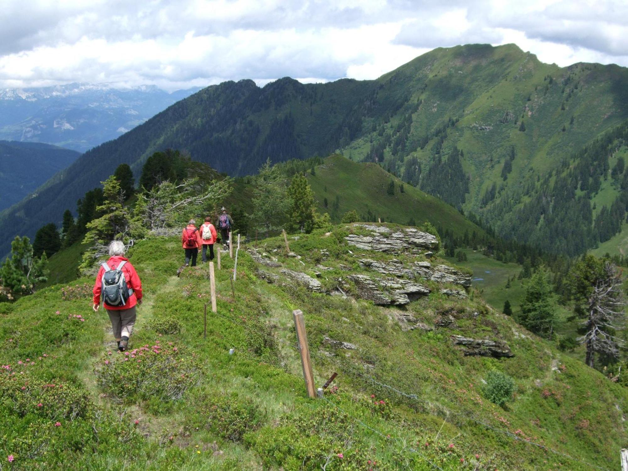 Gasthof Zur Gams Donnersbachwald Zewnętrze zdjęcie