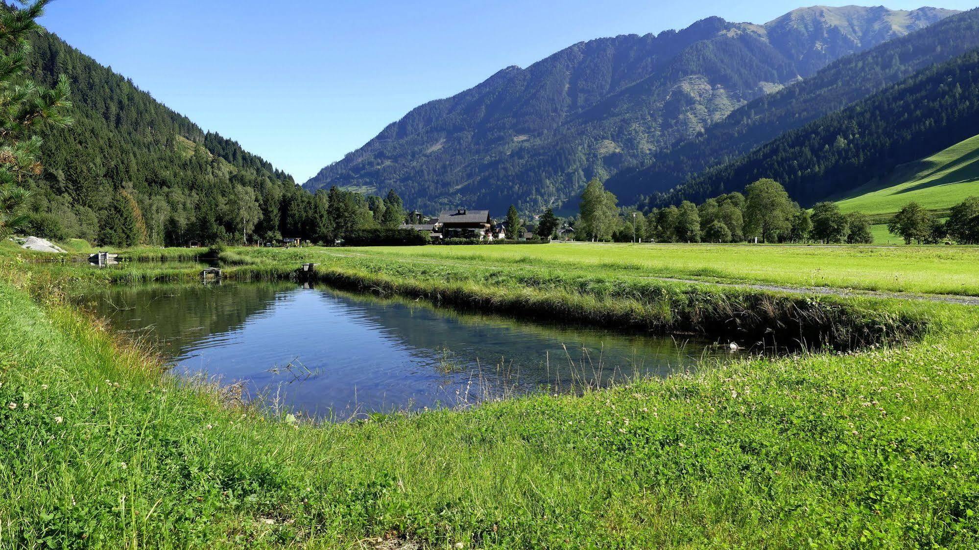Gasthof Zur Gams Donnersbachwald Zewnętrze zdjęcie