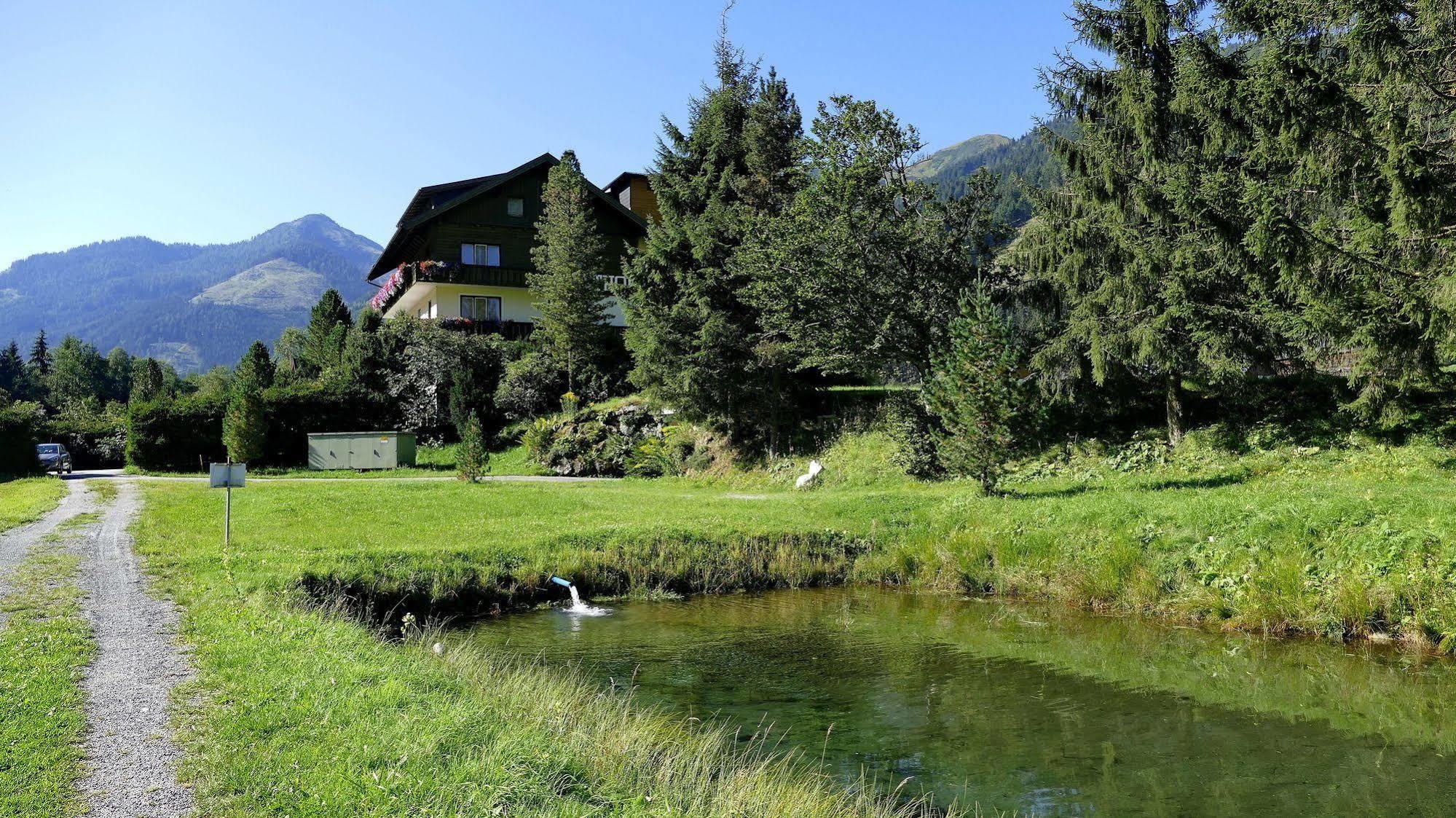 Gasthof Zur Gams Donnersbachwald Zewnętrze zdjęcie